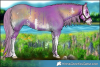Horse Color:Watercolor Liver Red Onyx Sabino 