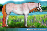 Horse Color:Watercolor Plaid White Spotted Liver Red Dun Ice Sabino Brindle