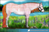 Horse Color:Watercolor Plaid  White Spotted Liver Red Dun Ice Sabino Brindle 