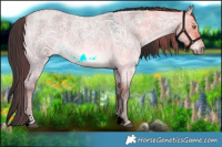 Horse Color:White Spotted Liver Red Dun Ice Roan 