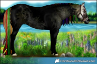 Horse Color:Void Painted Plaid  Liver Red Dun Roan Onyx Tobiano 