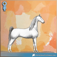 Horse Color:Liver Red Dun Sabino Splash Varnish Brindle 