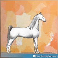 Horse Color:Liver Red Dun Appaloosa Brindle 