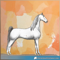 Horse Color:Liver Red Dun Fewspot Brindle 