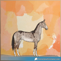 Horse Color:Liver Red Dun Brindle 