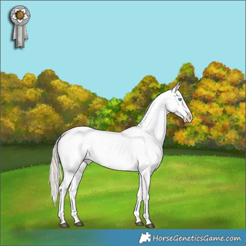 Horse Color:Chocolate Palomino Pearl Dun Appaloosa Brindle 