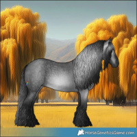 Horse Color:Gray Blue Roan 