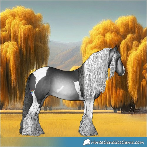 Horse Color:Gray Smoky Black Tobiano 