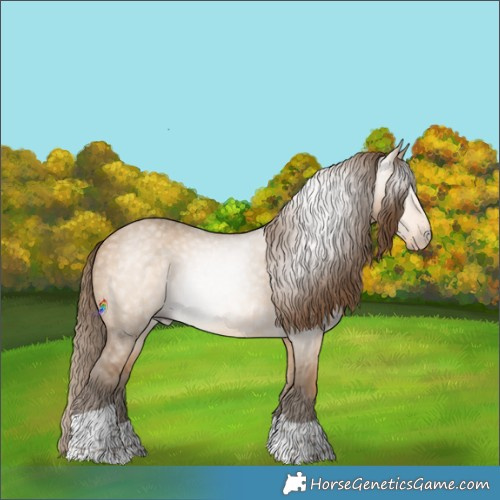 Horse Color:Gray Perlino Dun Tobiano 