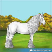 Horse Color:Gray Smoky Black Tobiano Rabicano 