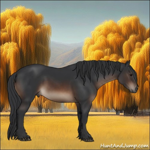 Horse Color:Brown Rabicano 