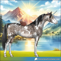 Horse Color:White Spotted Brown Dun Mushroom Sabino Brindle 