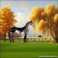 Horse Color:Gray Void Platinum Brown Tobiano Snowcap 