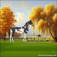Horse Color:Gray White Spotted Brown Tobiano Appaloosa