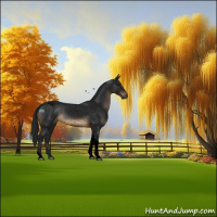 Horse Color:Gray Void Brown Tobiano Snowflake Varnish