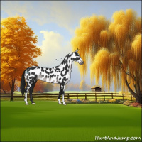 Horse Color:Gray Platinum Brown Sabino Appaloosa Rabicano 