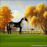 Horse Color:Gray Void Brown Dun Splash Tobiano Appaloosa 