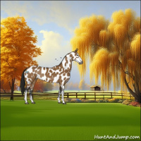 Horse Color:Gray Buckskin Dun Sabino Near Leopard 