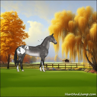 Horse Color:Gray Platinum Brown Dun Sabino Appaloosa 