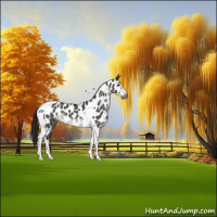 Horse Color:Gray Platinum Brown Dun Sabino Tobiano Near Leopard 