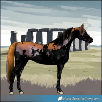 Horse Color:Void Watercolor White Spotted Liver Red Onyx Sabino Splash 