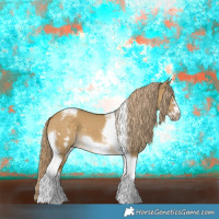 Horse Color:Chocolate Palomino Dun Tobiano Frame 