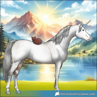 Horse Color:Gray White Spotted Sable Champagne Dun Sabino 