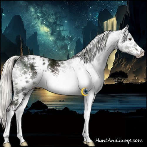 Horse Color:White Spotted Liver Chestnut Ice Mushroom