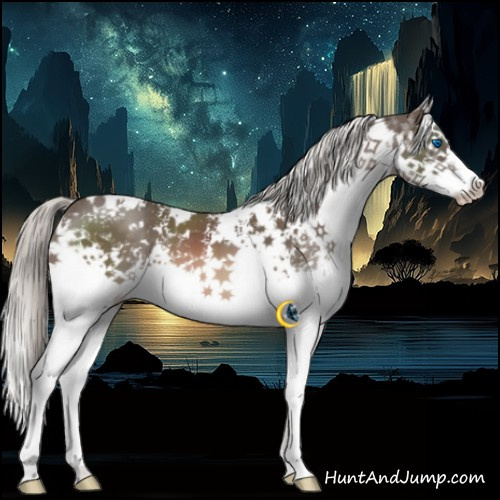 Horse Color:White Spotted Liver Chestnut Mushroom Splash