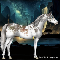 Horse Color:White Spotted Liver Chestnut Mushroom Splash 