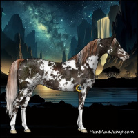 Horse Color:White Spotted Liver Chestnut Ice Sabino 
