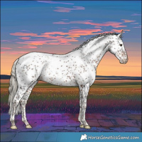 Horse Color:Liver Chestnut Sabino