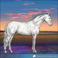 Horse Color:Liver Chestnut Sabino