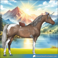 Horse Color:Silver Brown Dun Tobiano 