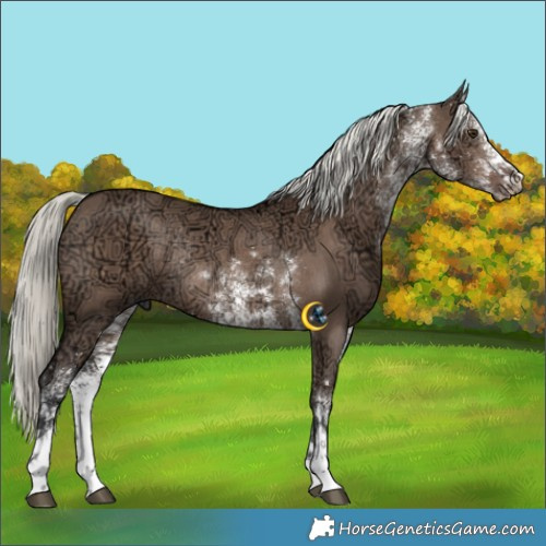 Horse Color:White Spotted Liver Red Dun Ice Mushroom Rabicano 