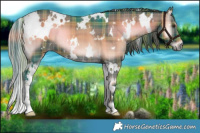 Horse Color:Watercolor Plaid  White Spotted Liver Red Onyx 
