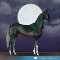 Horse Color:Midnight Chocolate Palomino Onyx Tobiano Rabicano 