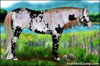 Horse Color:Watercolor Plaid  Liver Red Dun Roan Onyx Splash Tobiano Brindle 