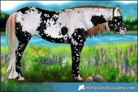 Horse Color:Watercolor Plaid  Liver Red Dun Roan Onyx Splash Tobiano Brindle 