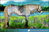 Horse Color:Void Plaid  Liver Red Dun Onyx Tobiano Rabicano 