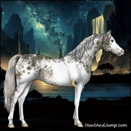 Horse Color:White Spotted Chocolate Palomino Ice Mushroom Rabicano