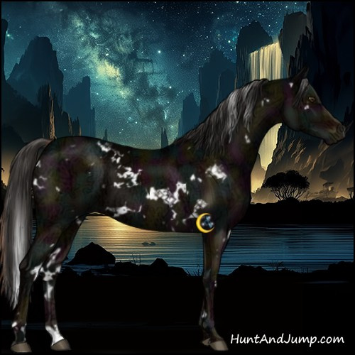Horse Color:White Spotted Midnight Liver Chestnut Ice