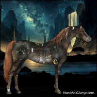 Horse Color:White Spotted Liver Chestnut Ice Sabino 