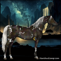 Horse Color:White Spotted Midnight Liver Chestnut Mushroom 
