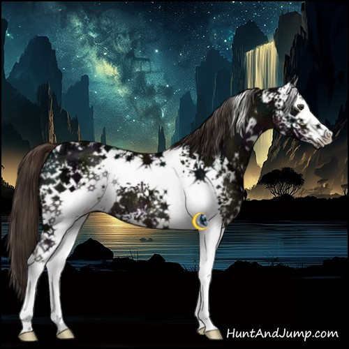 Horse Color:White Spotted Midnight Liver Chestnut Ice
