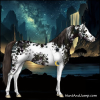 Horse Color:White Spotted Midnight Liver Chestnut Ice 