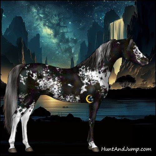 Horse Color:White Spotted Midnight Liver Chestnut Ice