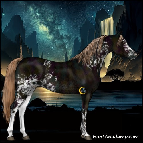 Horse Color:White Spotted Midnight Liver Chestnut Ice
