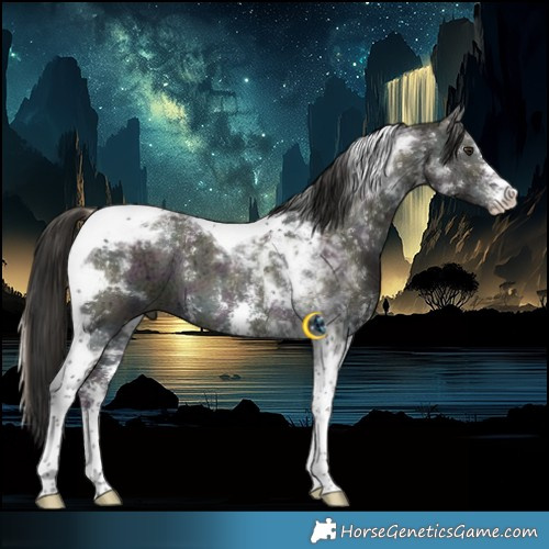 Horse Color:Midnight Liver Red Dun Ice Onyx Sabino Tobiano 