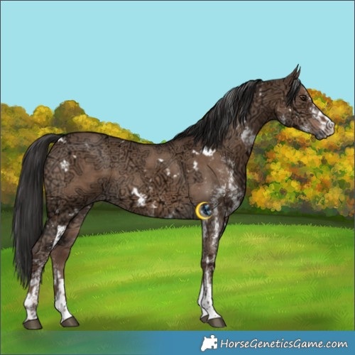 Horse Color:White Spotted Liver Red Dun Ice 